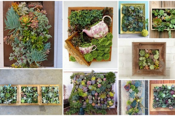 Living Succulent Frames That Look Like Great Work Of Art - Top Dreamer