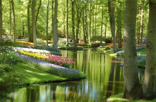 Keukenhof Gardens - Netherlands.