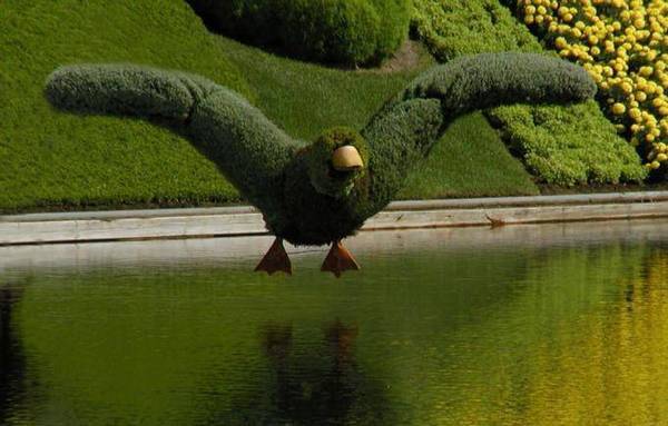 Most Amazing Grass Sculptures (20)