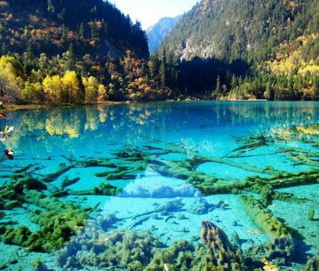 crystalline turquoise lake jiuzhaigou national 