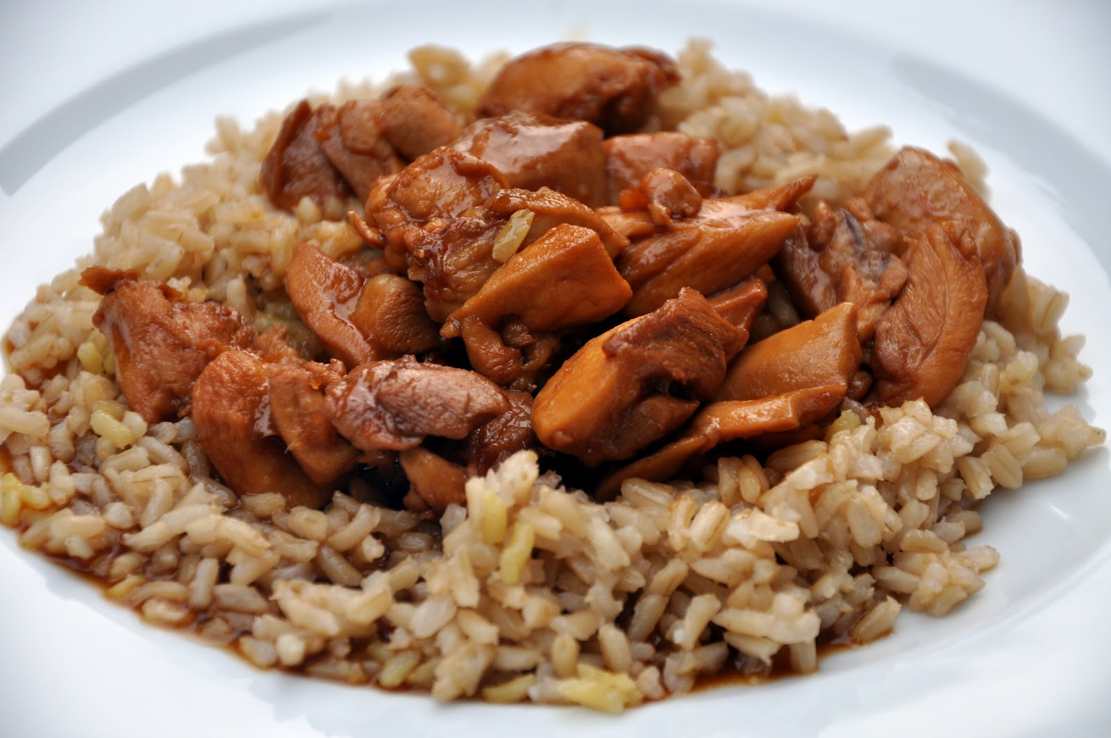 rice and chicken in soy sauce