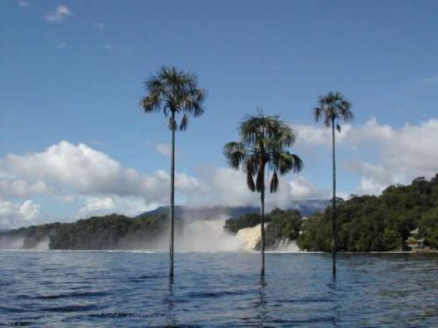 Canaima lagoon, Venezuela