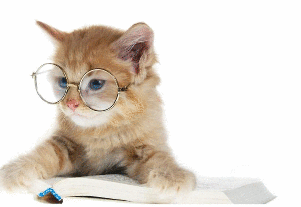 Cute cats with glasses (1)