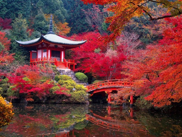 Daigo-ji Temple in Autumn - Kyoto, Japan