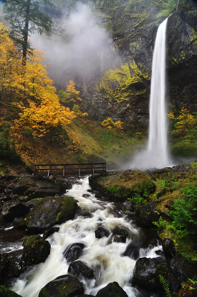 Elowah Falls in autumn, Columbia River Gorge