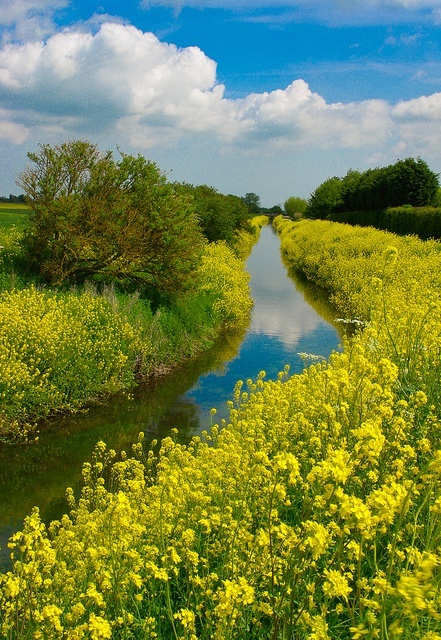 Louth Canal, Lincolnshire, England