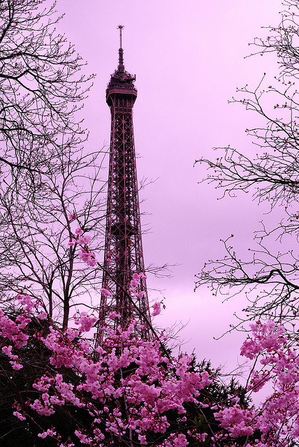 Paris in bloom