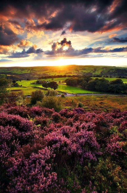 Sunset - Norland Moor - Halifax, England