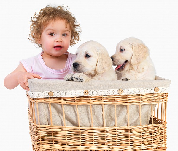 Baby and Puppies