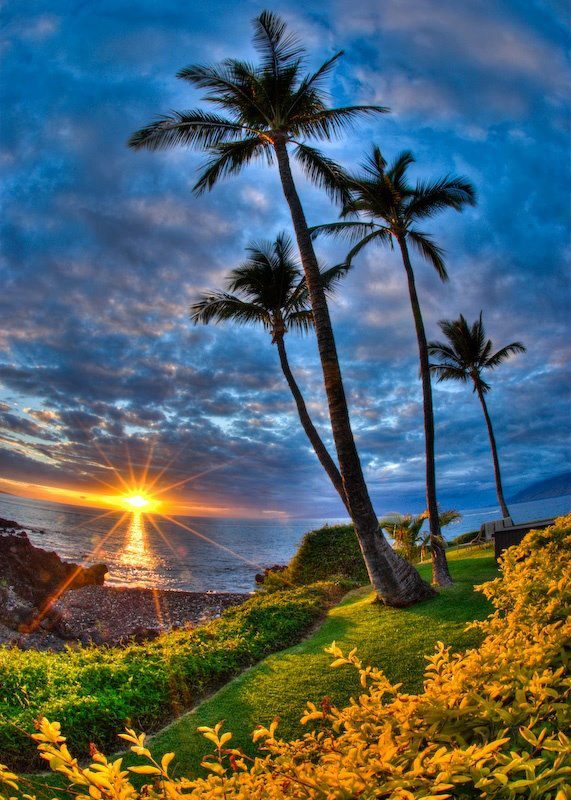 Let's go to Hawaii - the Magical Tropical Hawaiian Islands - Top Dreamer