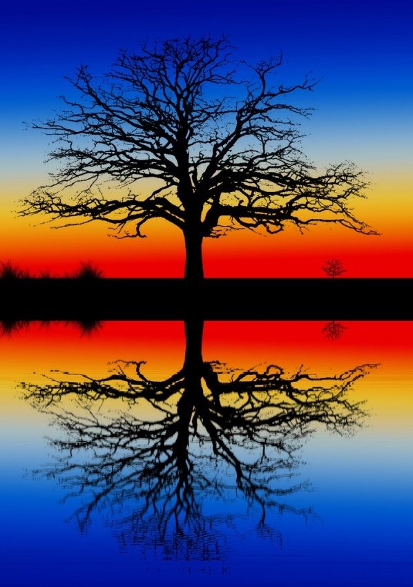 30 Beautiful Photos Of Water Reflection Top Dreamer