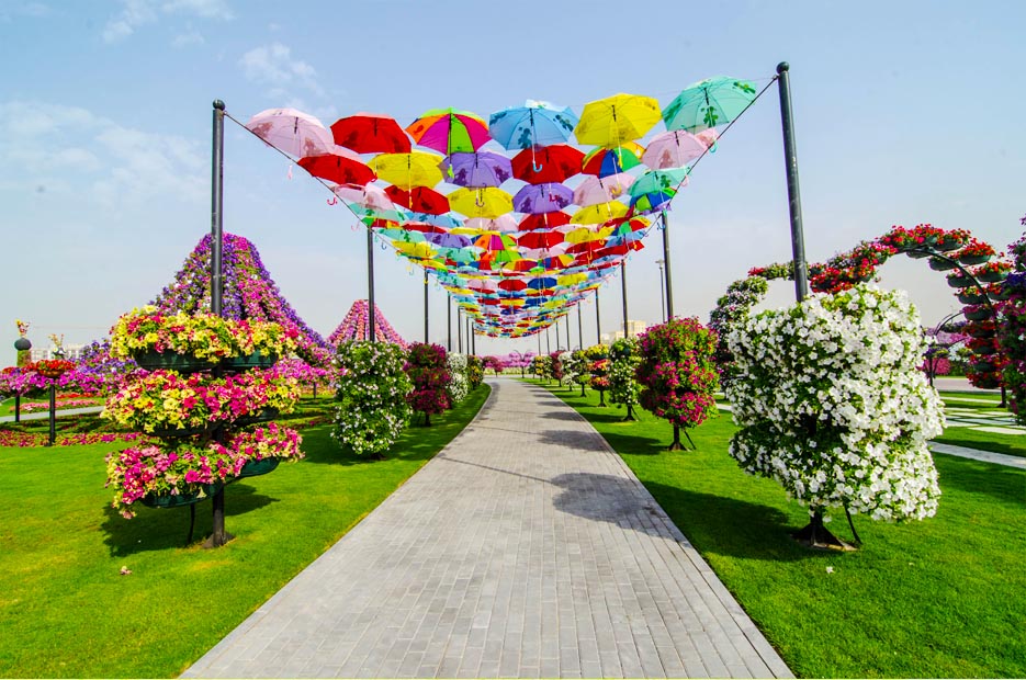 Dubai Miracle Garden World's Biggest Flower Garden Top Dreamer