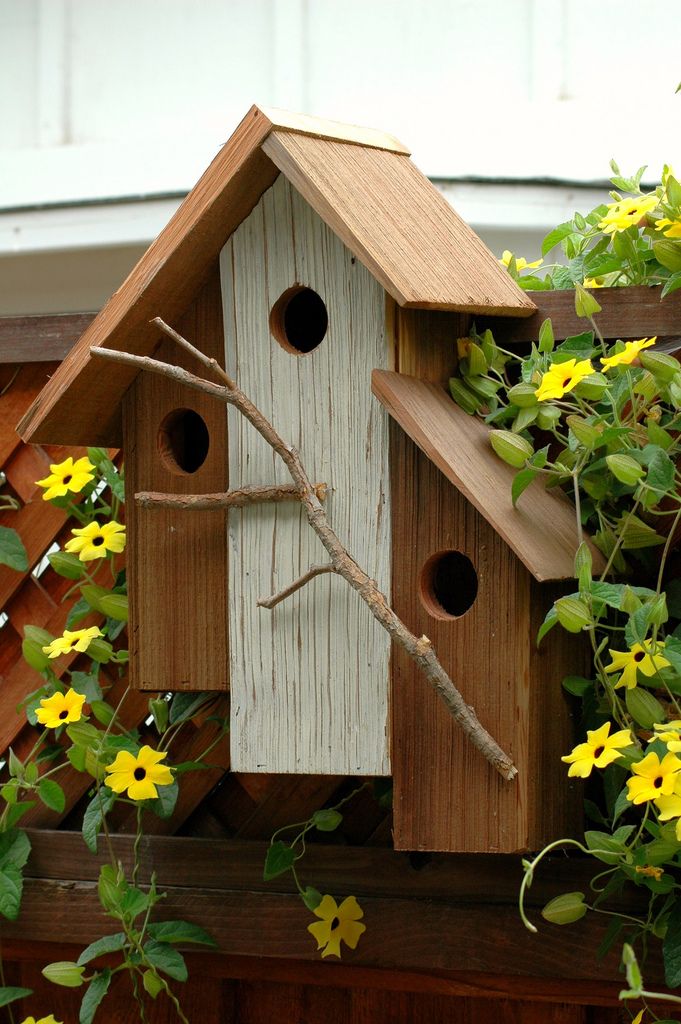 bird houses unique birdhouse designs