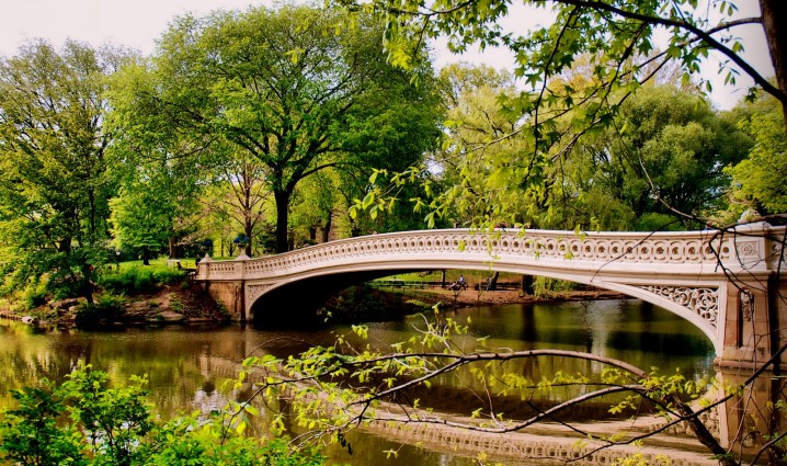 Amazing Pictures From Central Park In Spring - Top Dreamer