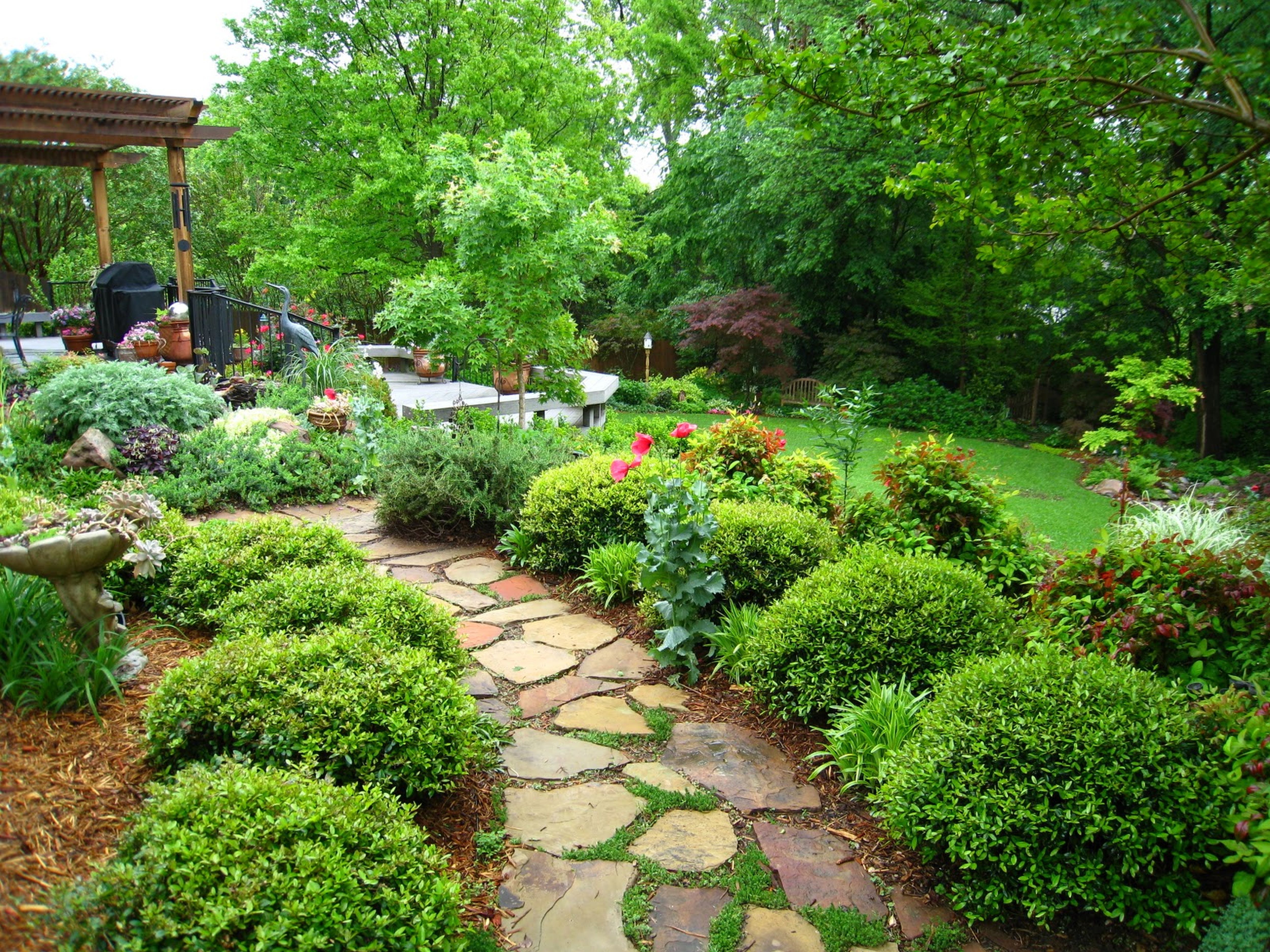 yard landscape design