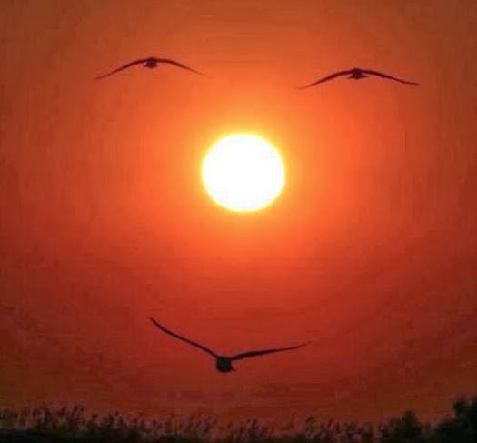 Awesome Perfectly Timed Sun Photography