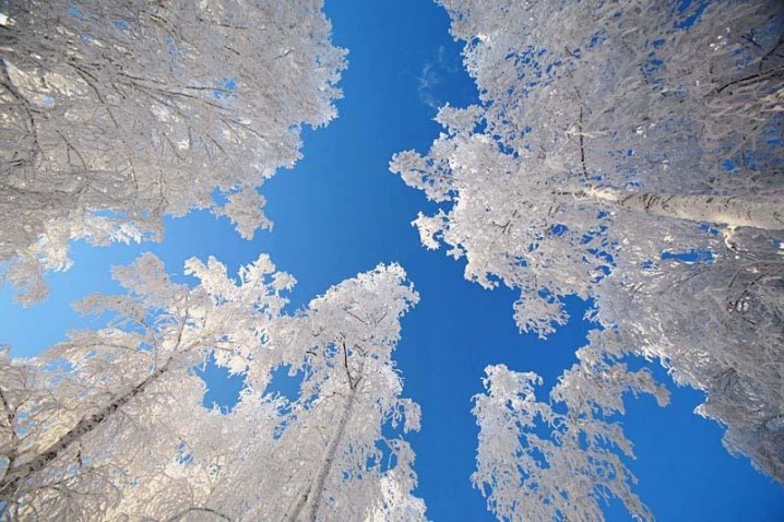 20 Breathtaking Winter Photography - Top Dreamer