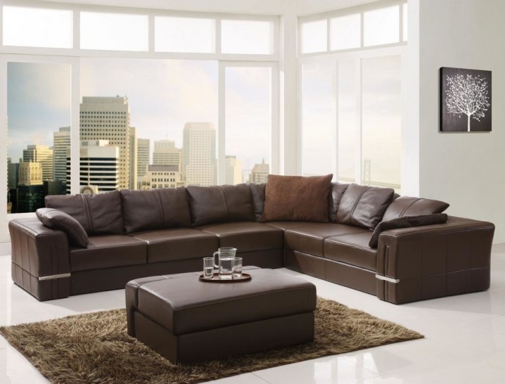 Modern Living Rooms With Brown Leather Sofa