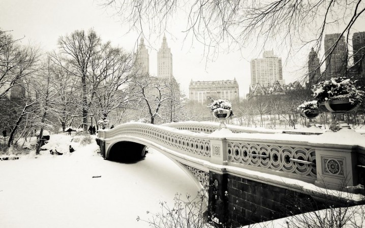 winter-in-central-park-17895