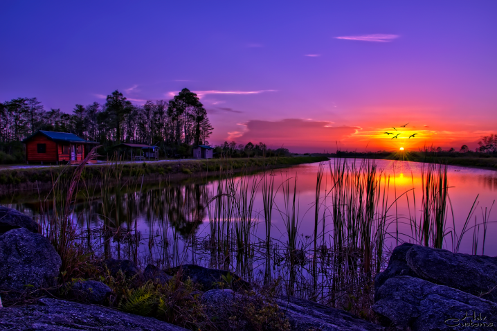 purple-sunset-over-hungryland-wma-jupiter-florida-wetlands1
