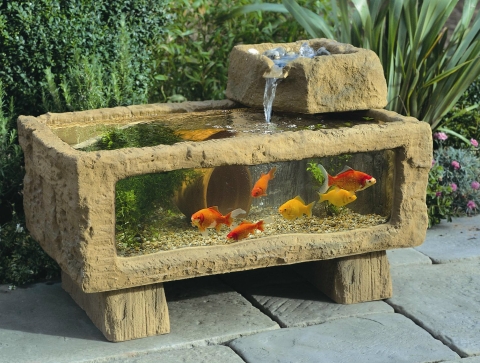 outdoor-aquarium-with-fish