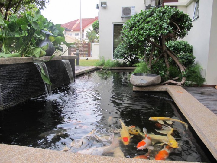 tips_to_make_a_small_fish_pond_in_front_of_the_house__how_to_make_fish_pond_