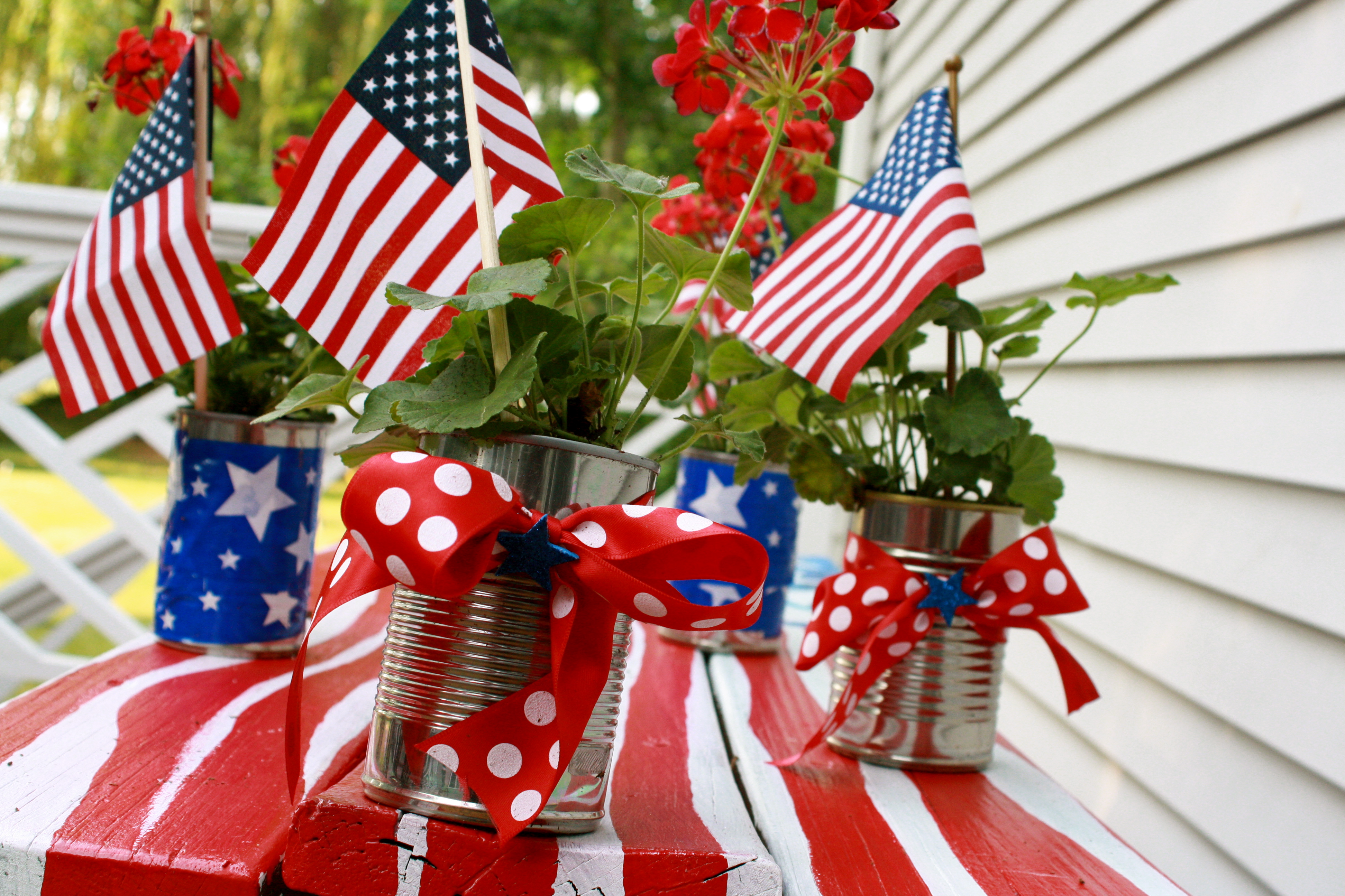 Independence Day Decorations - 4th of July Decor - Independence