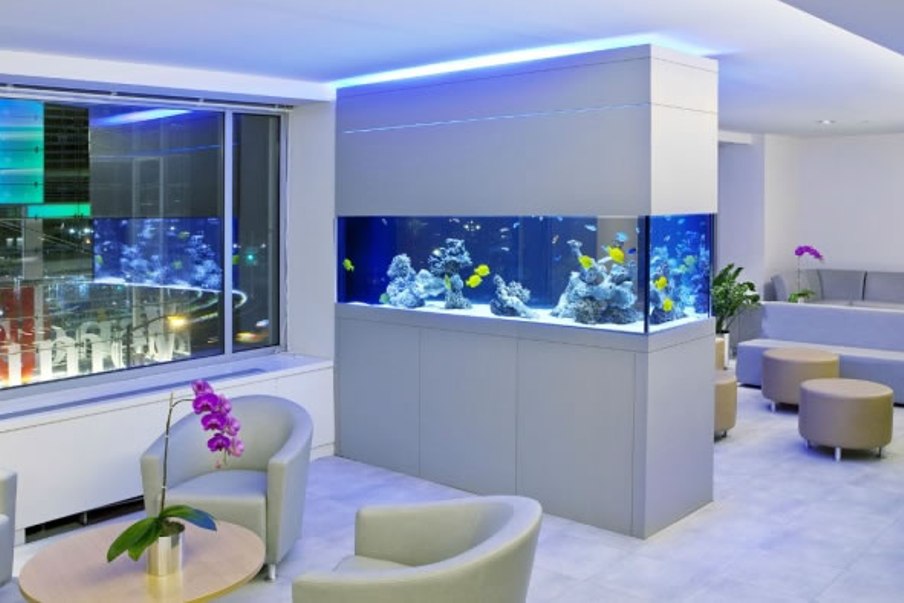Inspiring Aquarium Office Designs That Will Catch Your Eye Top Dreamer