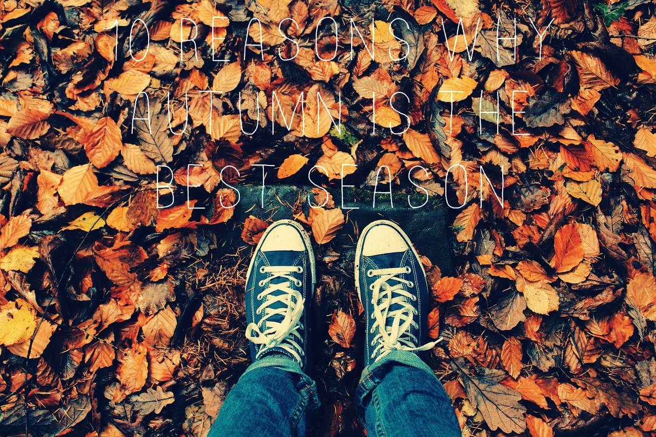 10 Reasons Why Autumn is the Best Season - Top Dreamer