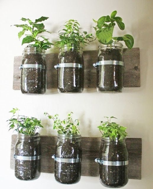 Vintage-Jars-Herb-Garden