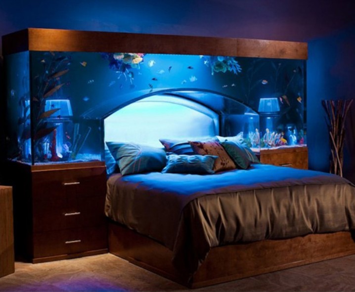 amazing-aqua-bed