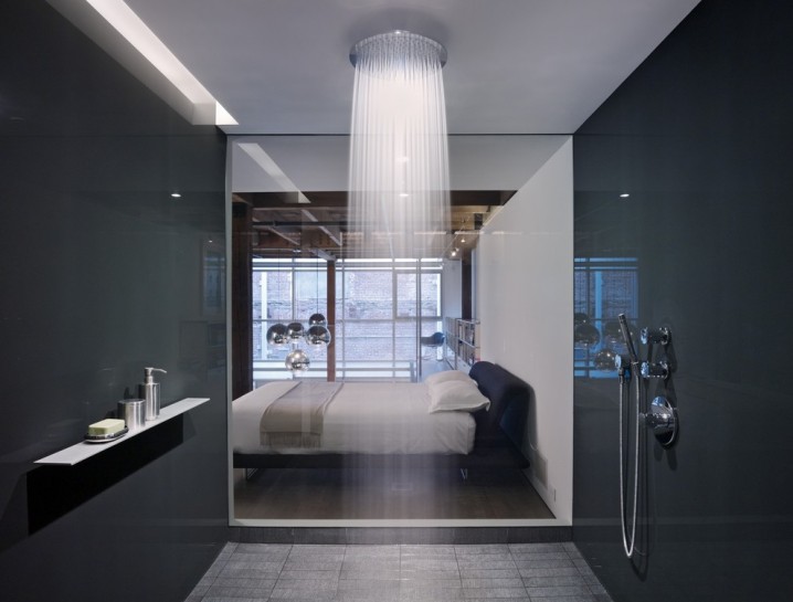 14-modern-walk-in-shower-bedroom-view