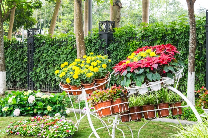 How to get year round beauty in your garden
