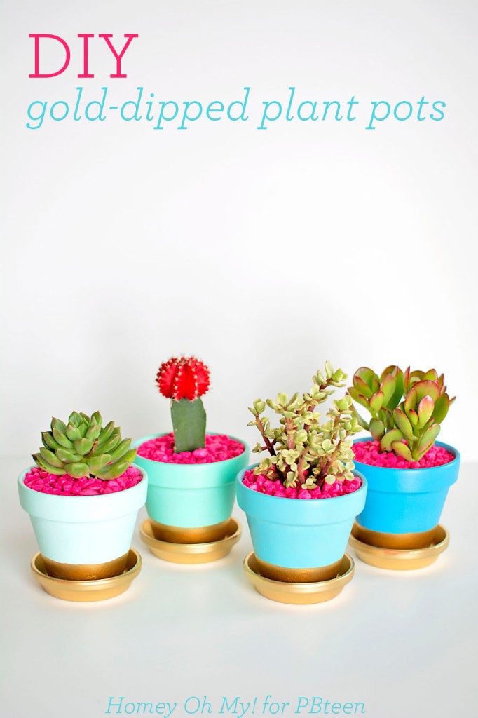 25-Great-DIY-Pots-for-Your-Plants-and-Flowers-1