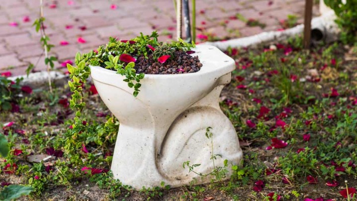 Recycling-garden-hacks-to-uplift-your-garden