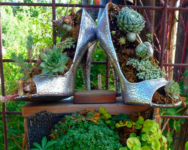 Unusual-and-Fun-Container-Gardens