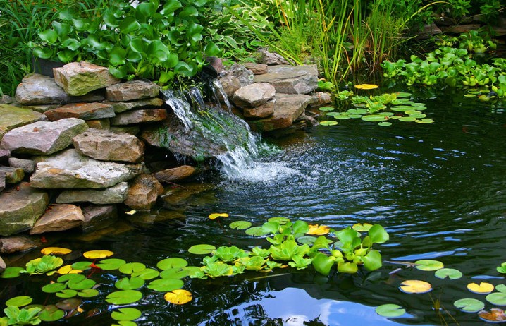 homemade-pond-landscape-cindy-haggerty