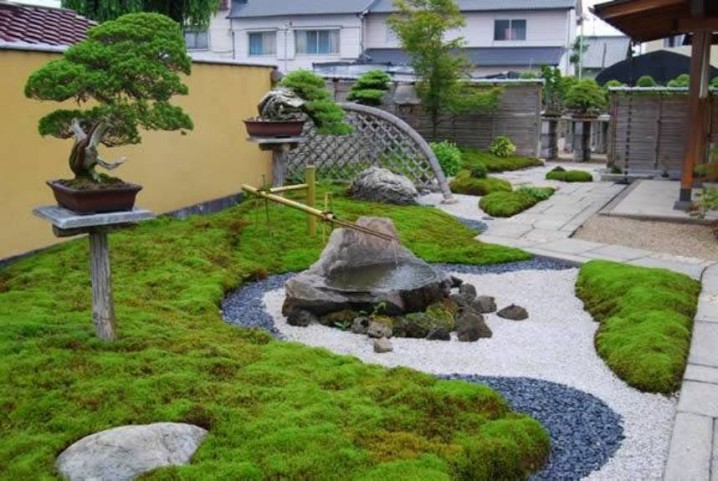 modern-japanese-garden-with-bonsai-trees-and-fountain