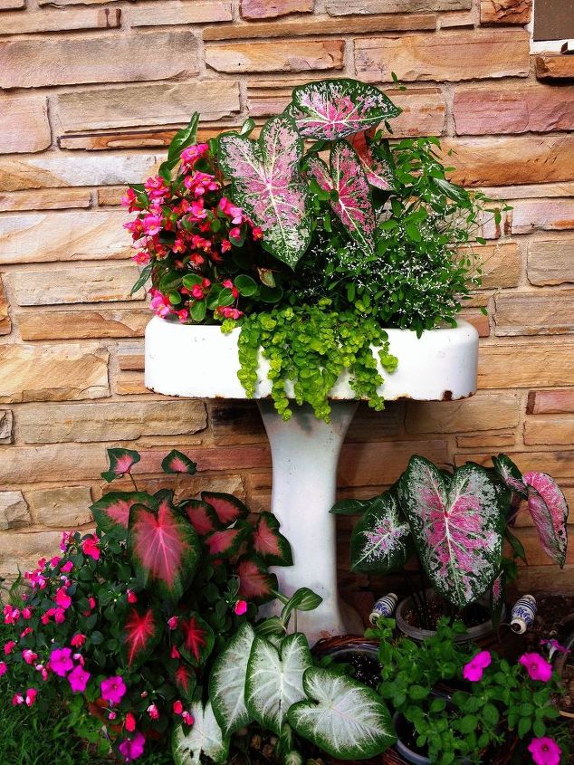 repurposing-an-old-pedestal-sink-into-a-planter-container-gardening-flowers-gardening