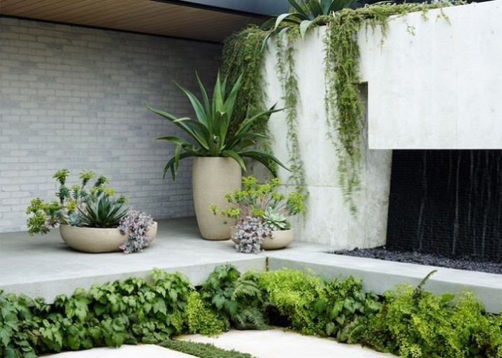 surface-design-san-francisco-garden-potted-plants-gardenista-733x523