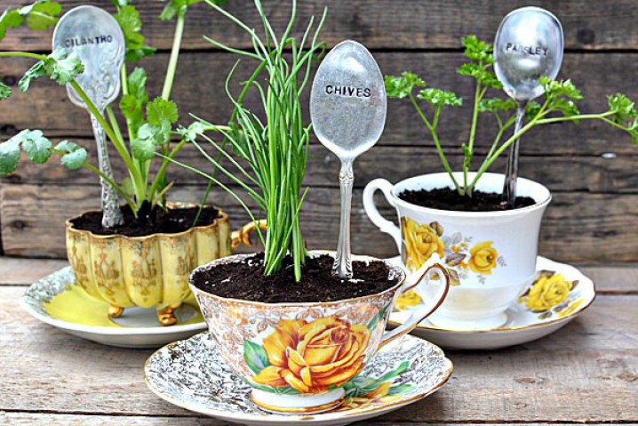 tea cup planters