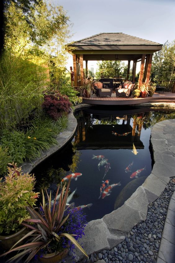 wonderful pond design