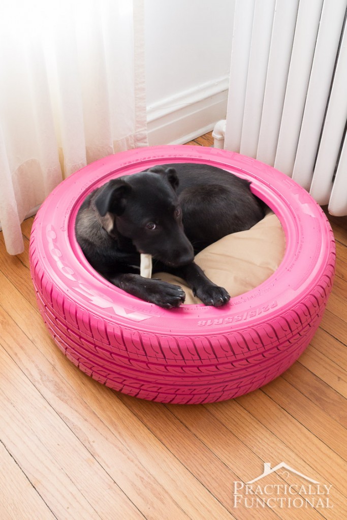 DIY-Dog-Bed-From-A-Tire-2