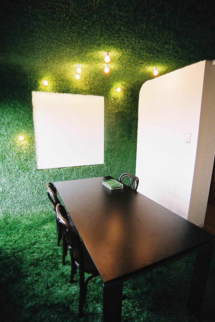 artificial-grass-indoor-office-conference