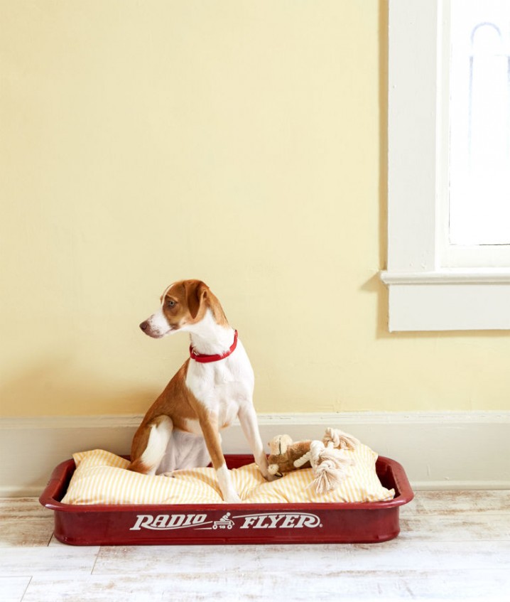 gallery-1431974980-little-red-wagon-dogbed-0615