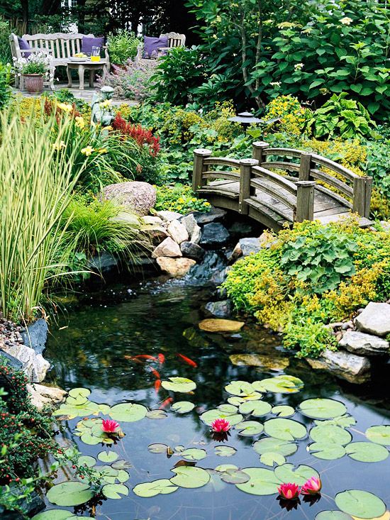 water garden landscaping