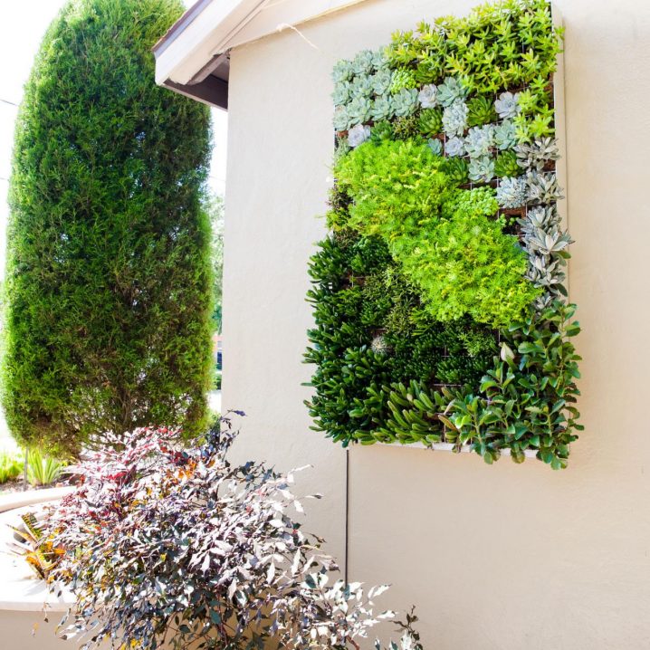 Argentine-Landscaping-Company-Inc_Living-Walls_