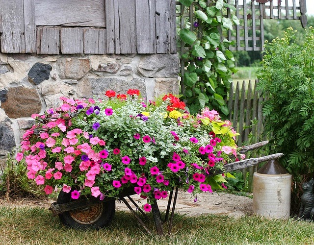 wheelbarrow planters 