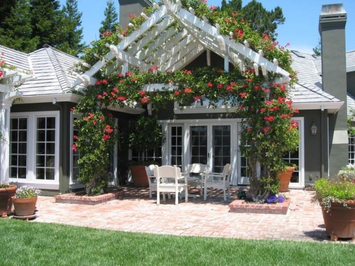 Pergola-bepflanzen-Rosen-Haus-Eingang-Terrasse