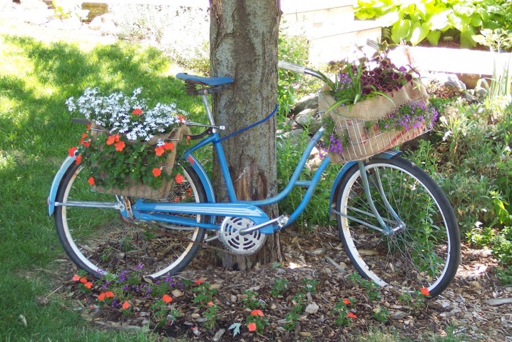blue bike